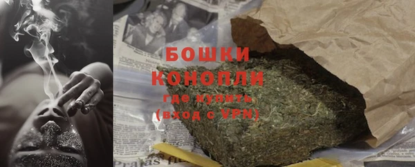 ПСИЛОЦИБИНОВЫЕ ГРИБЫ Балабаново