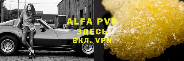 гашик Богданович
