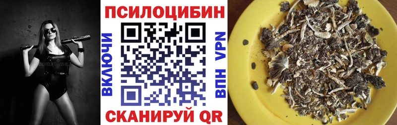 Псилоцибиновые грибы ЛСД  где купить наркотик  Калуга 
