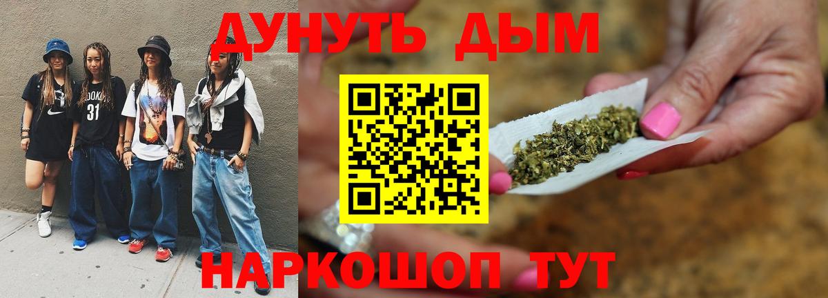 Бошки Шишки планчик  Вход с VPN  Конопля AK-47  Калуга  Бошки Шишки семена 